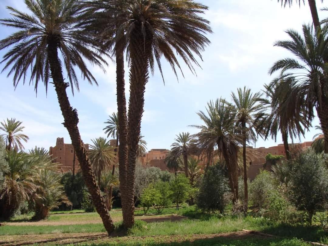 Amoudou Lodge Camp Tissint Eksteriør billede