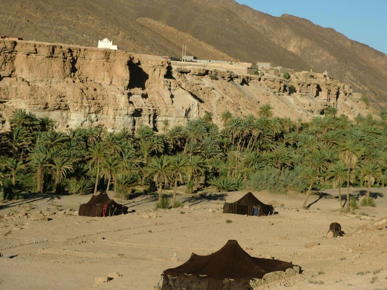 Amoudou Lodge Camp Tissint Eksteriør billede