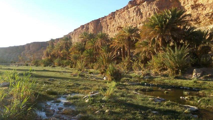 Amoudou Lodge Camp Tissint Eksteriør billede